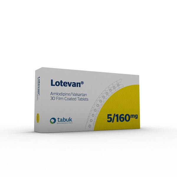 LOTEVAN - Image 6