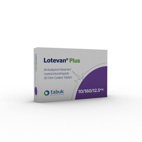 LOTEVAN-PLUS - Image 2