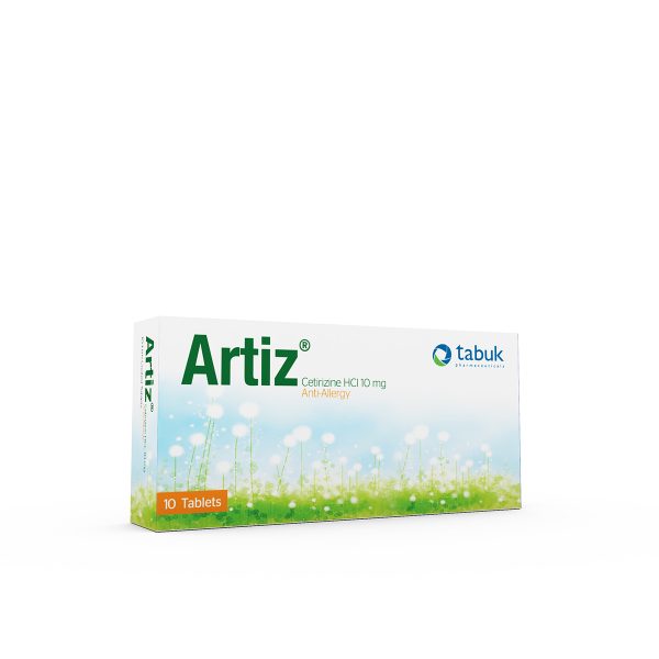 ARTIZ - Image 3